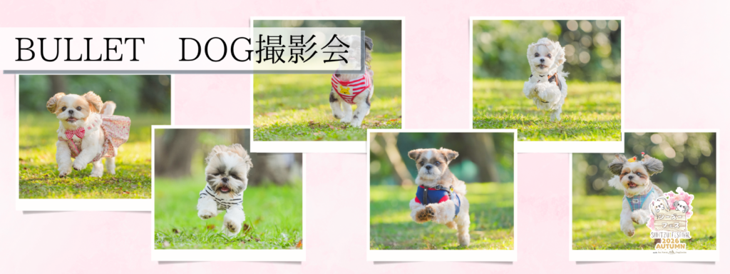 BULLET DOG撮影会