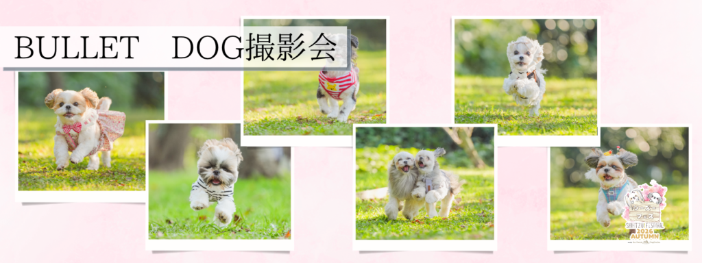 BULLET DOG撮影会
