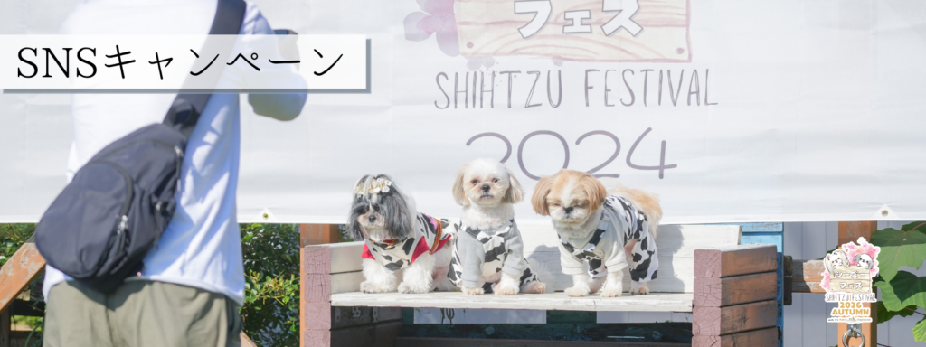 SNSキャンペーン