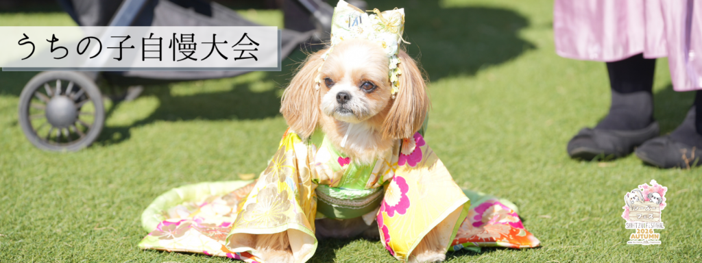 うちの子自慢大会