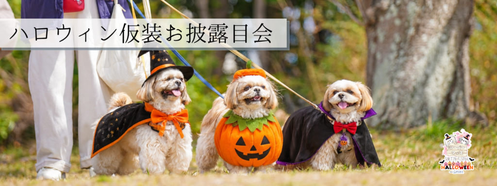 ハロウィン仮装お披露目会@大阪北港マリーナ