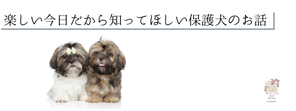 楽しい今日だから知ってほしい保護犬のお話@大阪北港マリーナ