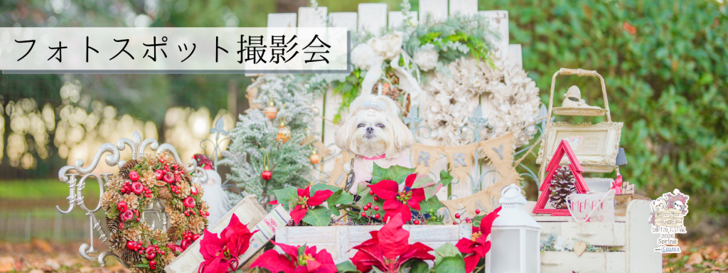 フォトスポット撮影会