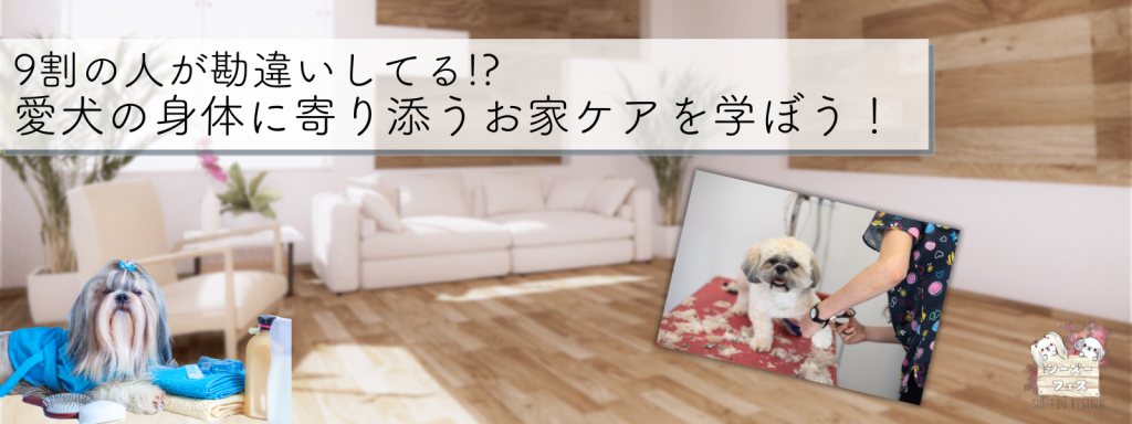 9割の人が勘違いしてる!?愛犬の身体に寄り添うおうちケアを学ぼう！