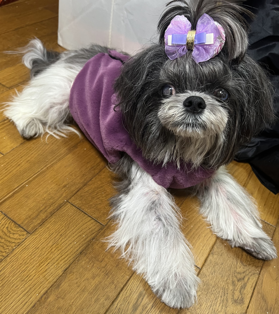 ぽんたくん