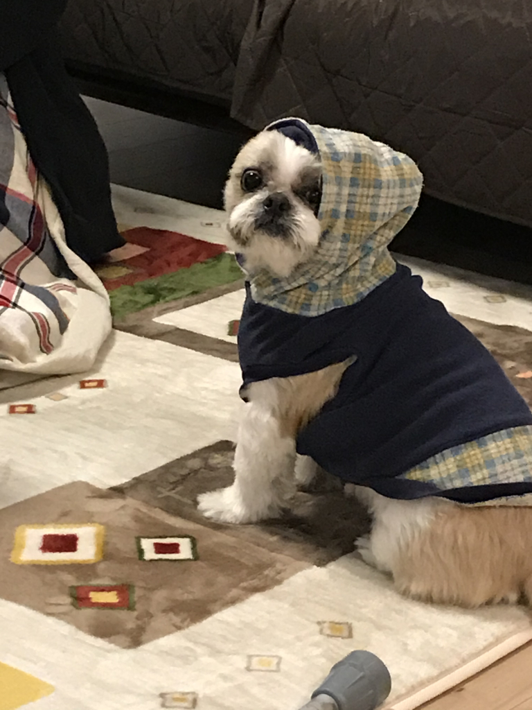 シンバくん
