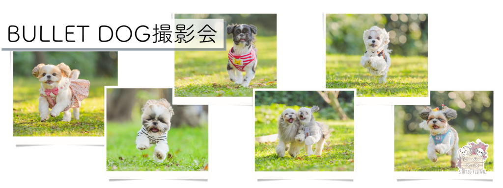 BULLET DOG撮影会