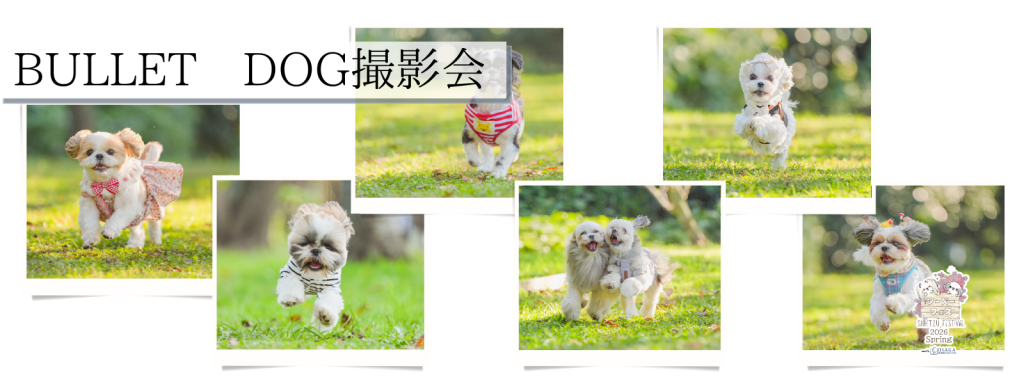 BULLET DOG撮影会@大阪北港マリーナ