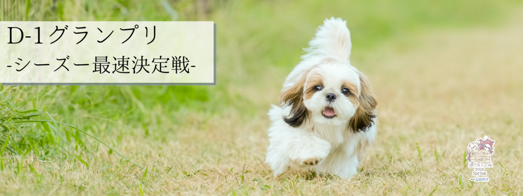 D-1グランプリ -シーズー最速決定戦-@大阪北港マリーナ