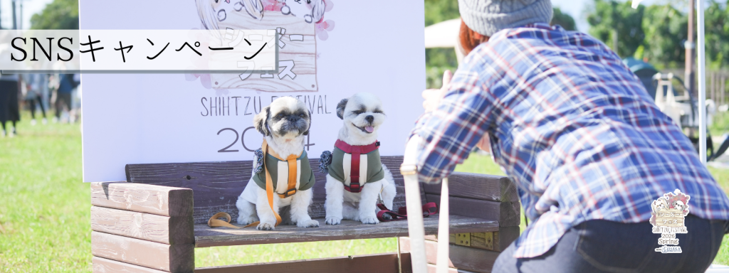 SNSキャンペーン@大阪北港マリーナ