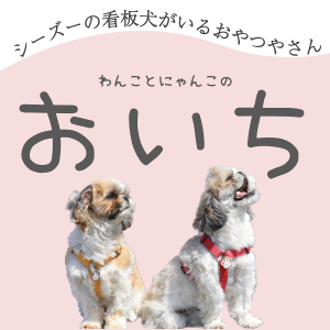 わんことにゃんこのおいち