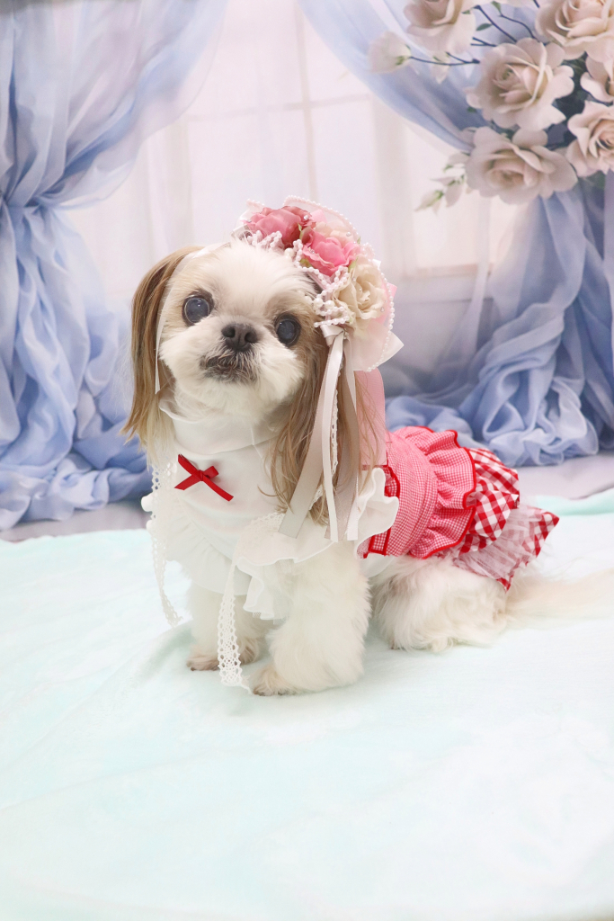 ラリマールちゃん