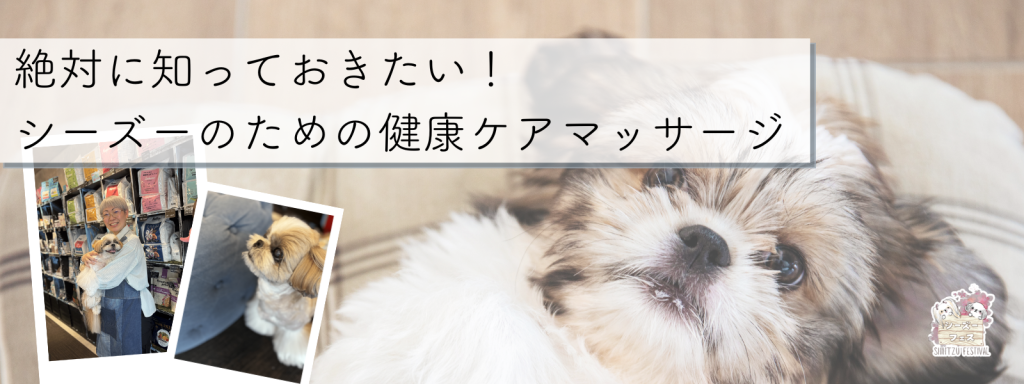 絶対に知っておきたい！シーズーのための健康ケアマッサージ
