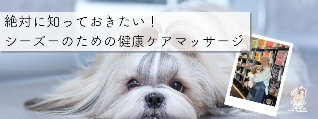 絶対に知っておきたい！シーズーのための健康ケアマッサージ@大阪北港マリーナ