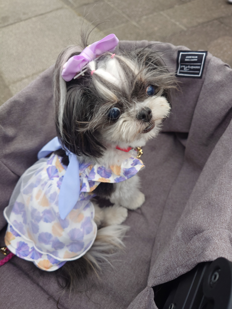 イランイランちゃん