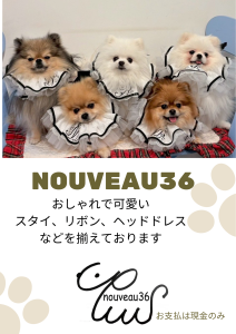 nouveau36
