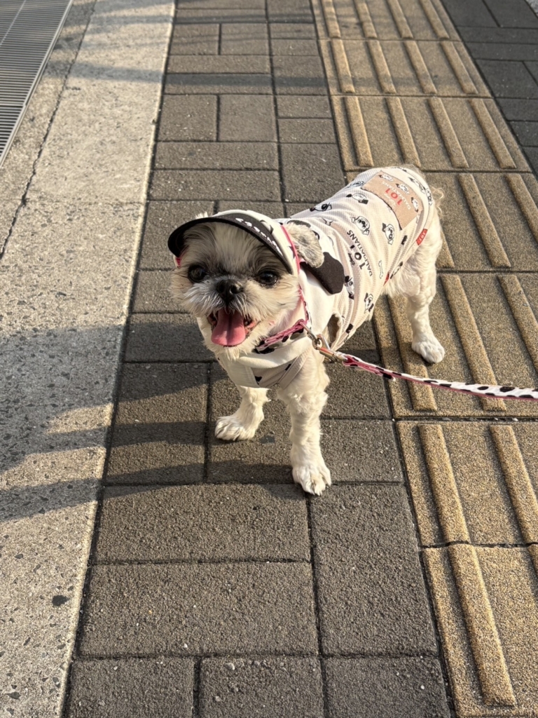 くうちゃん