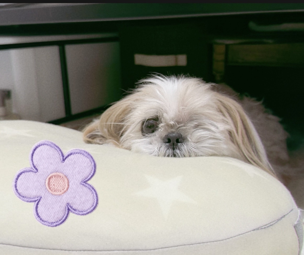 うたちゃん